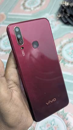 Vivo