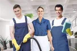 Household Servant