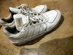 Adidas shoes joggers sneakers better than puma nike new balance