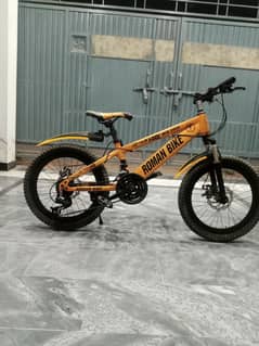 Bicycle MTB Germany(Imported)