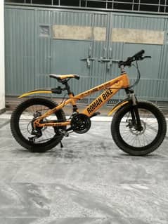 (MTB) Germany imported bicycle