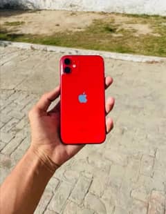 I phone 11 64 gb All new 10 by 10