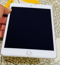 mini 5