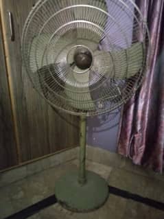 floor fan royal