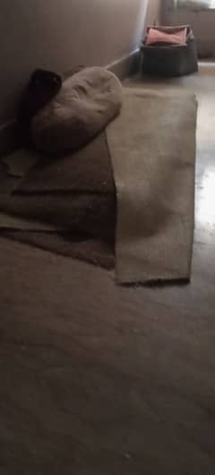 carpet urgent sale