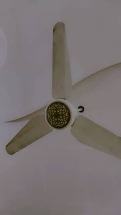 Sk Ceiling fan Pure Copper