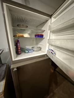 Pell full size fridge 03256218548