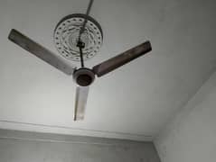 GFC ceiling fan roof