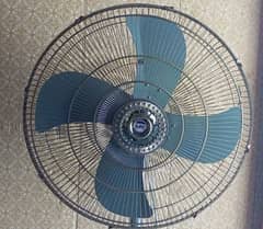 New Fan