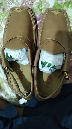 captan chapal barand new