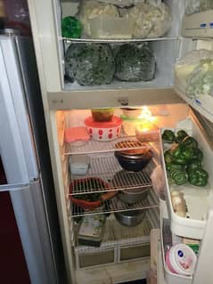 haier refrigerator