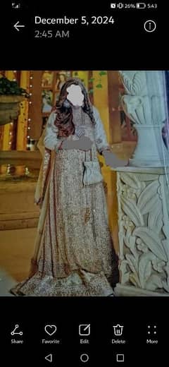 Mexci Dress