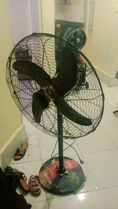 Pedestal Fan