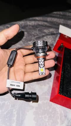 Car led lights