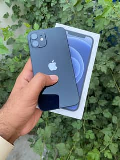 Iphone 12 pta aprved