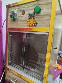 Bird& chicks  brooder