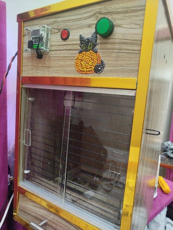 Bird& chicks  brooder 0