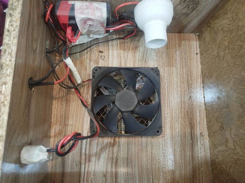 Bird& chicks  brooder 3