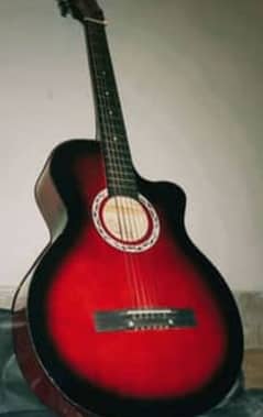 BEST PROFESSIONAL GUITAR FOR BEGINNERS