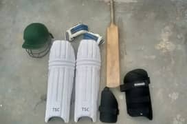 Cricket