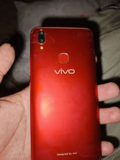 vivo