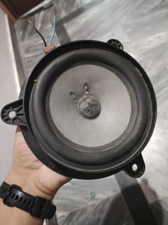 Bose