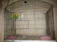 bugies with cage