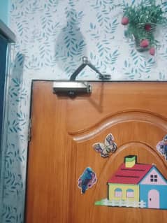 Door Clooser Ryobi (Haydurolic)