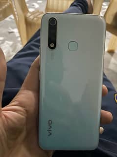 y19