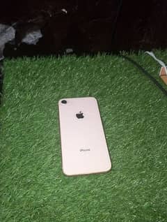 I phone 8 256 bypass