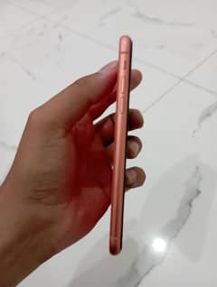I phone xr dual pta approved