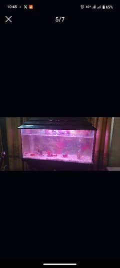 Fish Aquarium net & clean condition