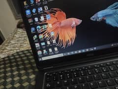 DELL LAPTOP i5 5th 16/256