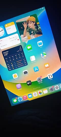 iPad Pro 9.7-inches | 256GB | Excellent Condition