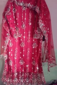 katdana ready mate for sale