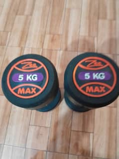 5 kg dumbbells 1 pair