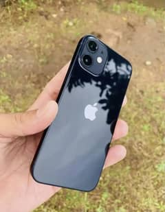 iPhone 12 Factory Unlock