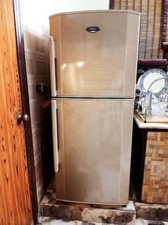 HAIER Refrigerator – Excellent Condition | Urgent Sale!