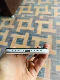 iPhone 11jv