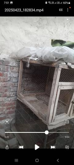 2 cage hai