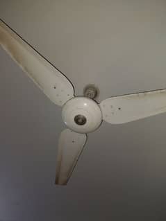 cieling