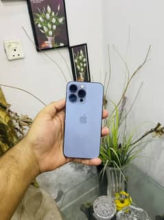 iPhone 13 Pro