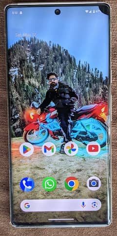 Google Pixel 6 Pro
