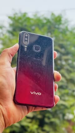 Vivo