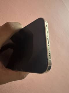 iPhone 12 pro max pta approved