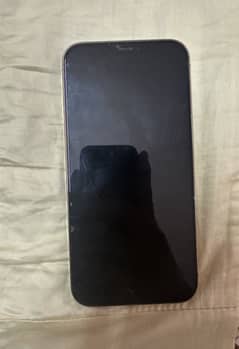 iPhone 12 pro max pta approved