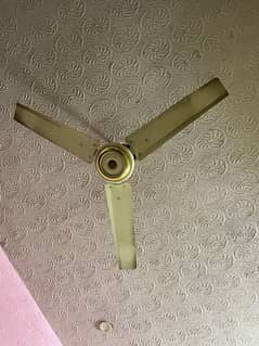 GFC Fan Used 2 piece