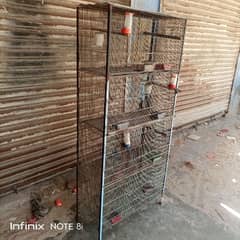 Birds cage for sale
