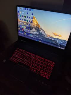 Acer