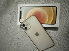 iPhone 12 PTA Approved